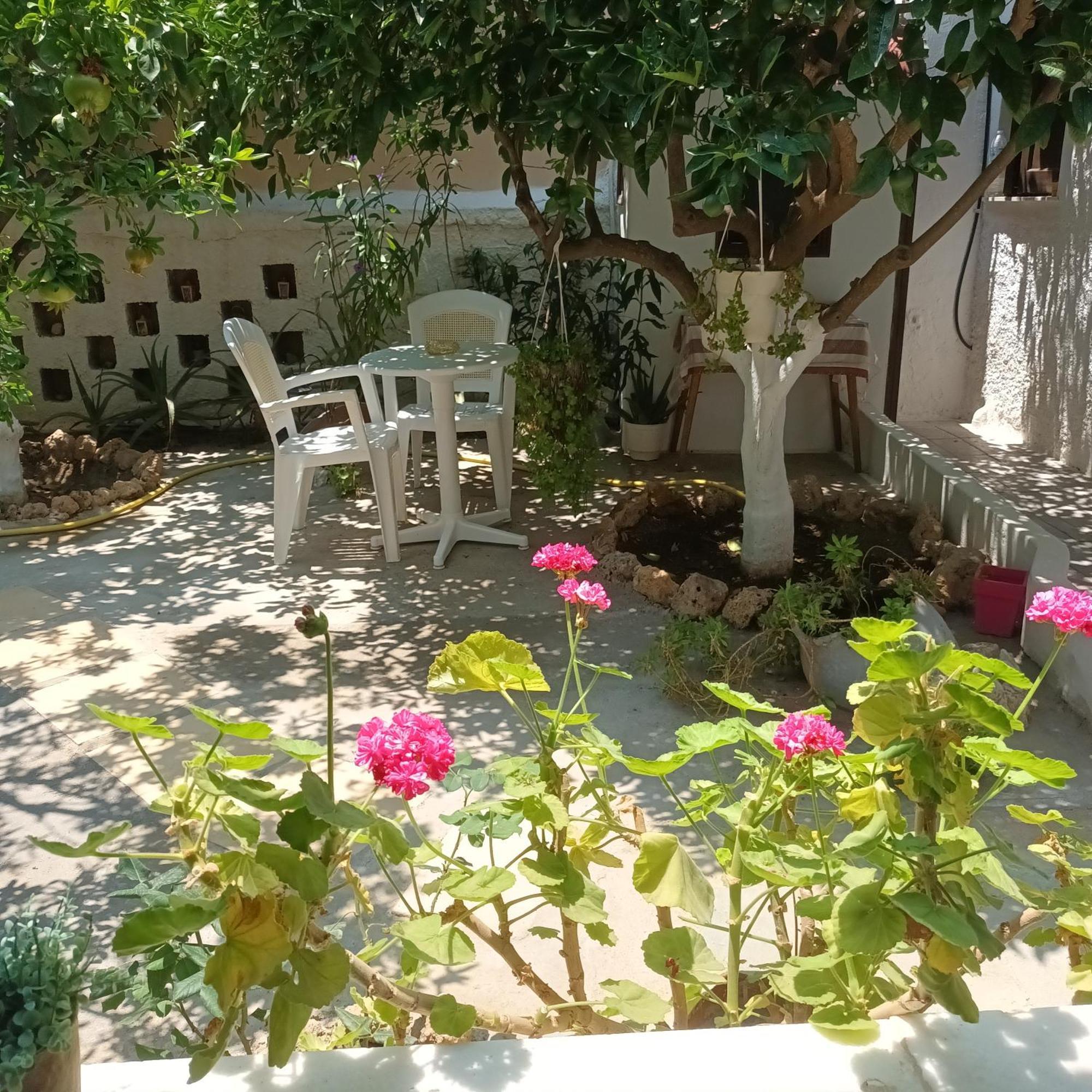 شقة Magnolia Senses Kini المظهر الخارجي الصورة