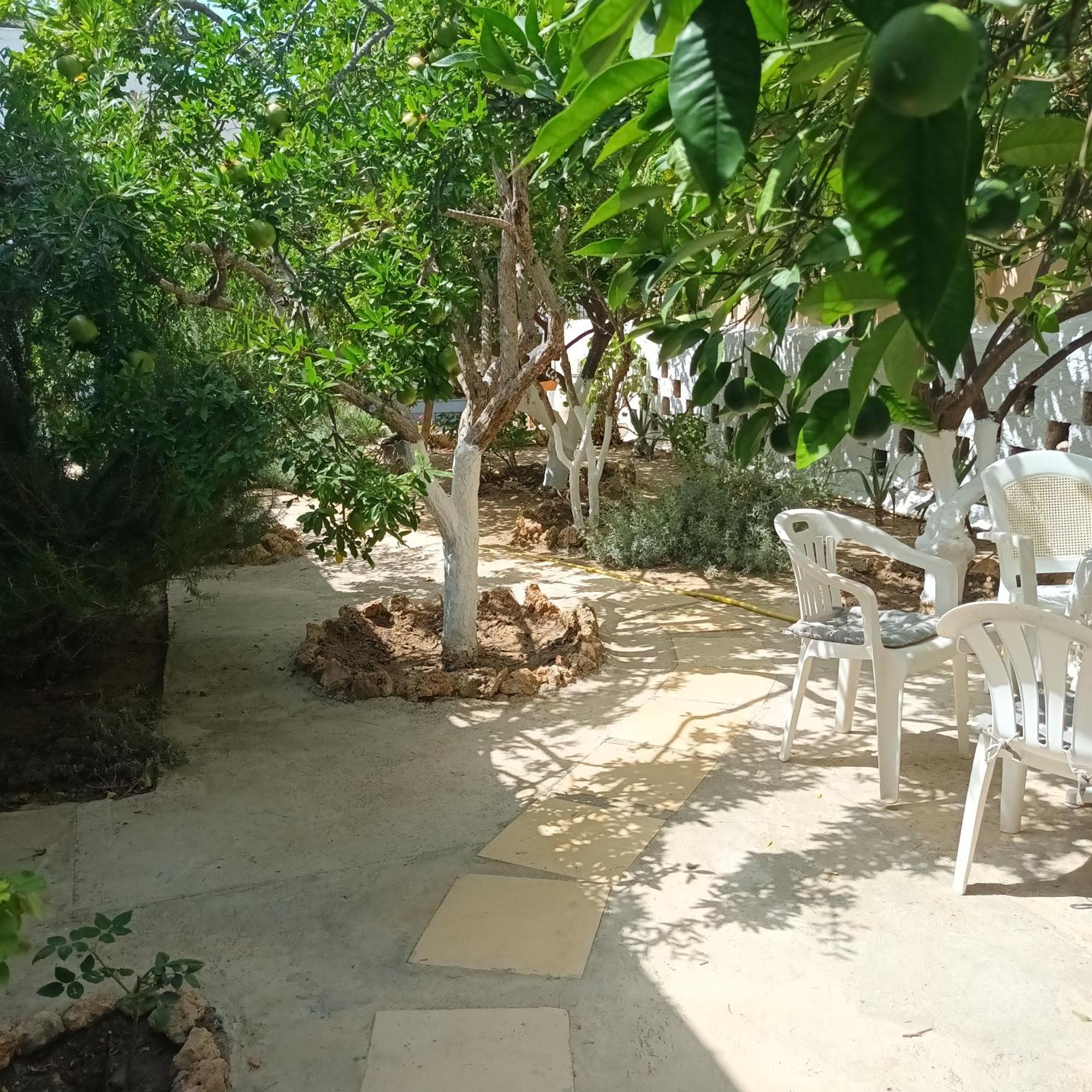 شقة Magnolia Senses Kini المظهر الخارجي الصورة